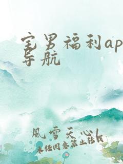 宅男福利app导航