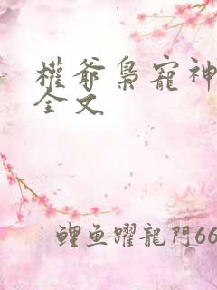 权爷枭宠神秘妻全文