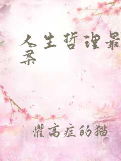 人生哲理最火文案