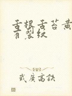 舌根舌苔黄厚腻有裂纹