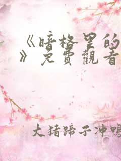 《暗格里的秘密》免费观看完整版