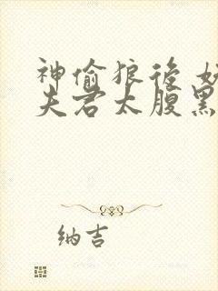 神偷狼后 妖孽夫君太腹黑