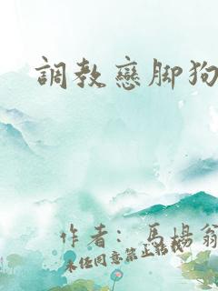 调教恋脚狗奴