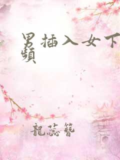 男插入女下面视频