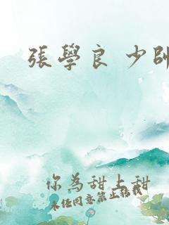 张学良 少帅