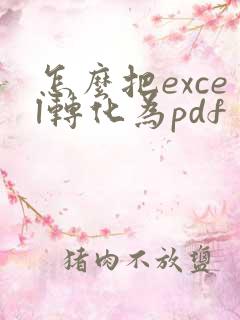 怎么把excel转化为pdf