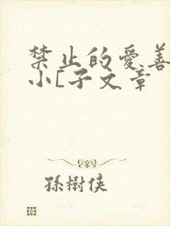 禁止的爱善良的小[子文章