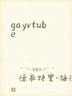 gayvtube