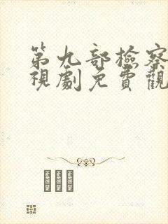 第九部检察官电视剧免费观看全集