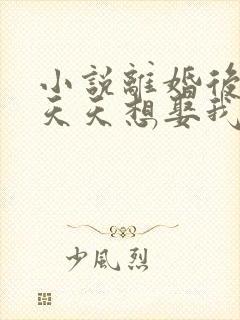 小说离婚后霸总天天想娶我免费阅读