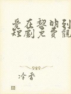 爱在黎明到来前短剧免费观看
