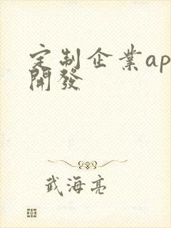 定制企业app开发