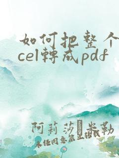 如何把整个excel转成pdf