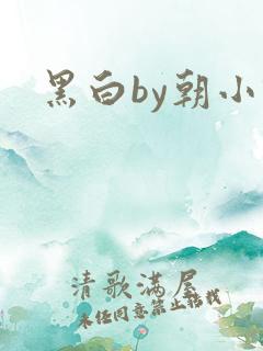 黑白by朝小诚