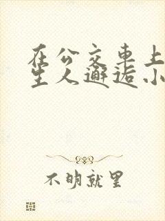 在公交车上被陌生人邂逅小说