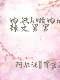 肉欲h啪肉np辣文男男