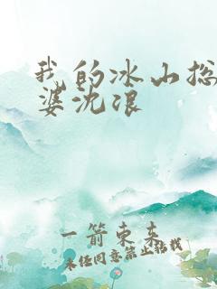 我的冰山总裁老婆沈浪