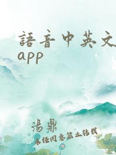 语音中英文翻译app