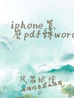 iphone怎么pdf转word