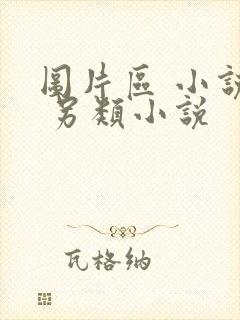 图片区 小说区 另类小说
