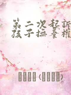 第二次起诉离婚孩子抚养权