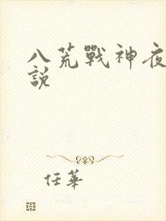 八荒战神夜麟小说