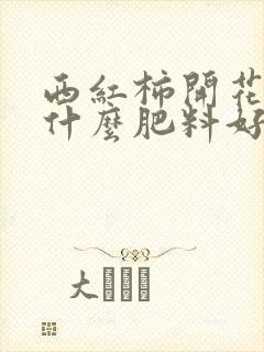 西红柿开花期用什么肥料好