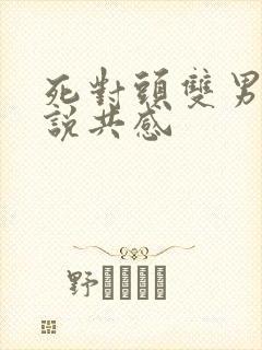 死对头双男主小说共感
