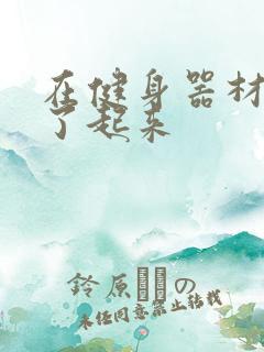 在健身器材上做了起来