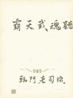 霸天武魂听书