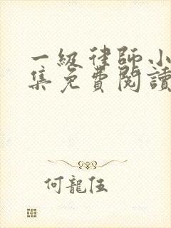 一级律师小说全集免费阅读