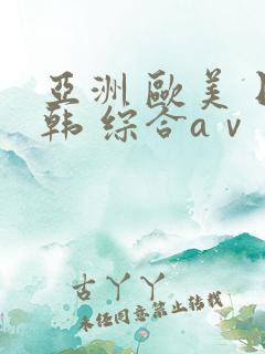 亚洲 欧美 日韩 综合aⅴ视频