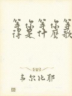 等你等你等你等得是什么歌