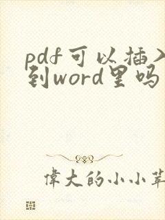 pdf可以插入到word里吗