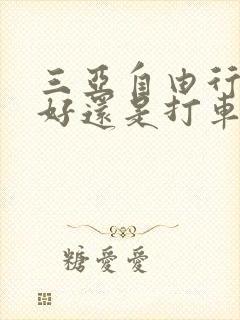 三亚自由行租车好还是打车好