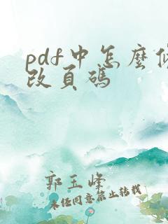 pdf中怎么修改页码
