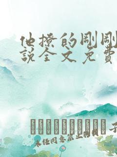 他撩的刚刚好小说全文免费阅读