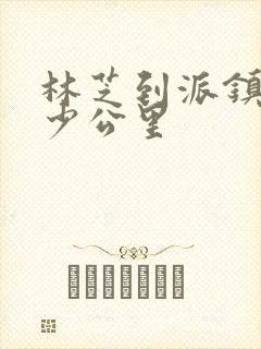 林芝到派镇有多少公里