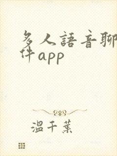 多人语音聊天软件app