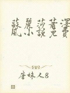 苏丽莎萧泽王雪风小说免费阅读