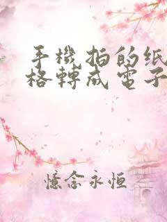 手机拍的纸质表格转成电子表格
