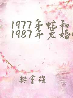 1977年蛇和1987年兔婚配