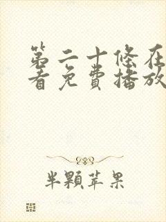 第二十条在线观看免费播放23集
