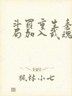 斗罗重生秦明开局加入武魂殿