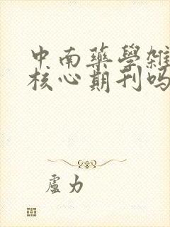 中南药学杂志是核心期刊吗