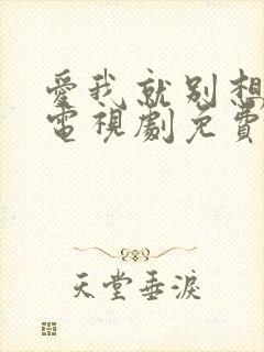 爱我就别想太多电视剧免费观看