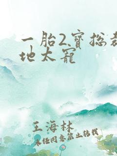 一胎2宝总裁爹地太宠