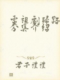 电视剧归路剧情分集介绍