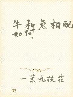牛和兔相配婚姻如何
