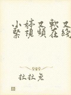 小婷又软又爽又紧视频在线观看免费